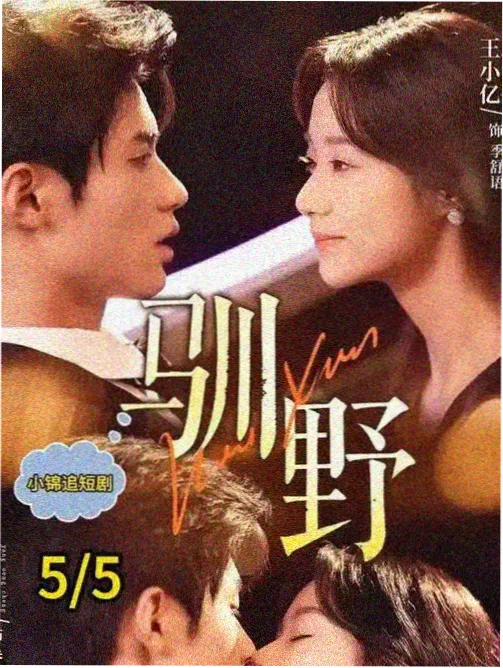 长夜有灯封面